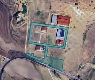 Immobile in asta di 8659 m² a Delia