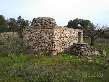 Terreno Agricolo con Pajara