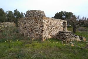 Terreno Agricolo con Pajara