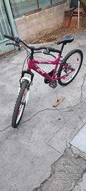 Bicicletta