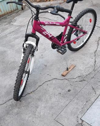 Bicicletta