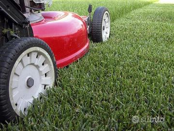 l'Omenut dal Giardin