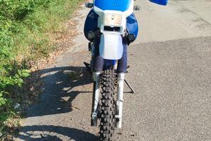 Honda dominator