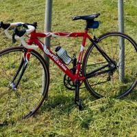 Bottecchia da corsa