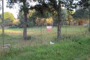 Terreno di 3500 m² a Cellole