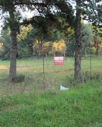 Terreno di 3500 m² a Cellole