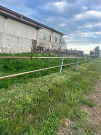 Paddock/recinto per cavalli