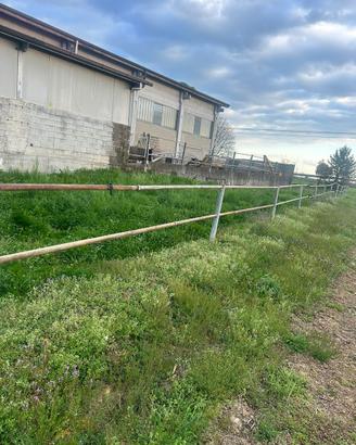 Paddock/recinto per cavalli