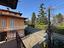 Immagine 7