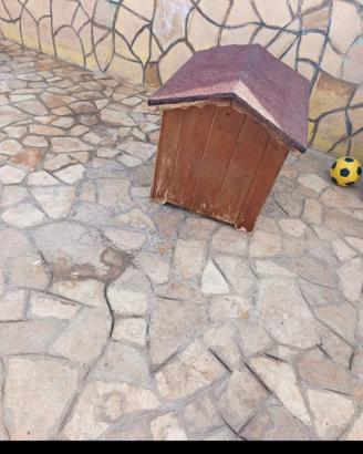 cuccia 