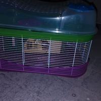 Gabbia criceto fantasy dell'imac