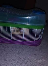 Gabbia criceto fantasy dell'imac