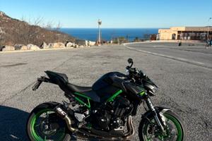 Kawasaki z900 2023