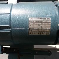 Taglia collaretto e nastri in rotolo