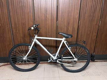 Bicicletta (uomo-Donna)