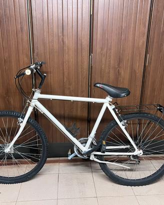 Bicicletta (uomo-Donna)