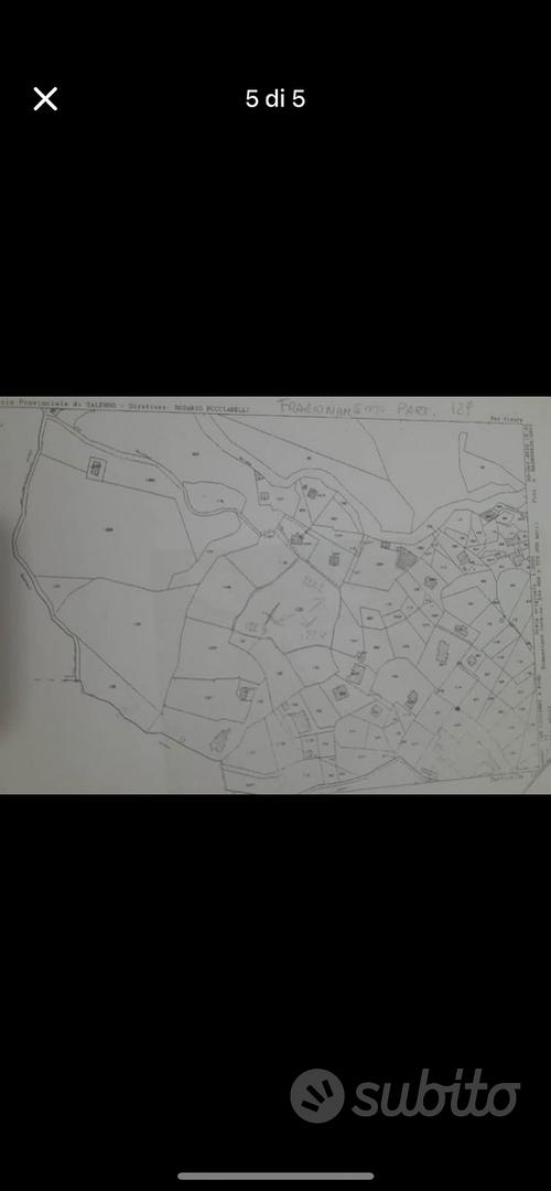 Terreno agricolo scario centro - Vista 5