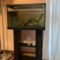 Acquario 60litri