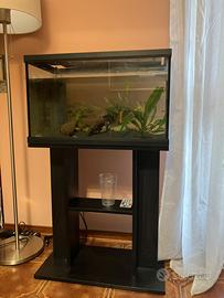 Acquario 60litri