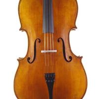 Violoncello liuteria 
