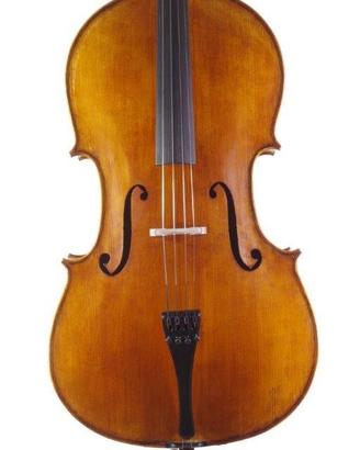 Violoncello liuteria 