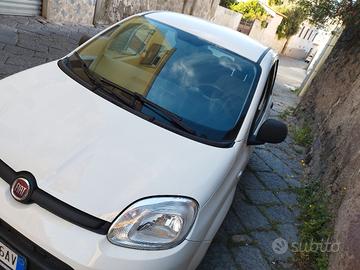 panda ibrida 