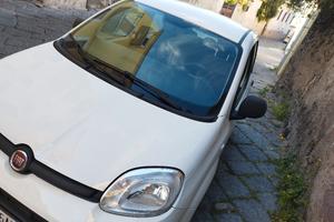 panda ibrida 