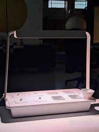 Mini serra idroponica Ikea Vaxer