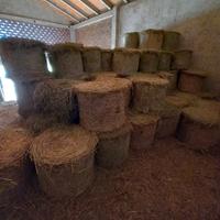 Balle di fieno tonde e rettangolari