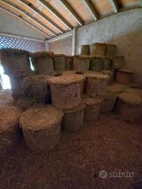 Balle di fieno tonde e rettangolari
