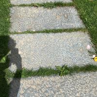 Pietre/ piastroni per viali