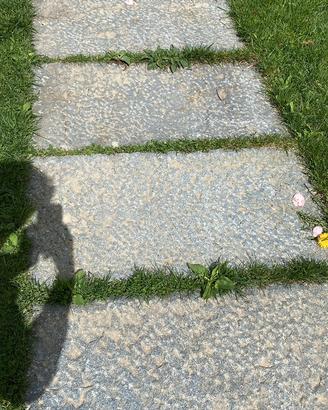 Pietre/ piastroni per viali