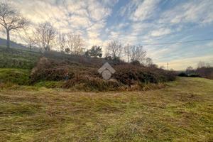 TER. AGRICOLO A LA VALLETTA BRIANZA