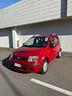 fiat-panda-1-3-mjt-16v-dpf-dynamic