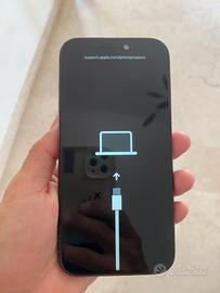 IPhone 15 Pro (leggere attentamente descrizione)