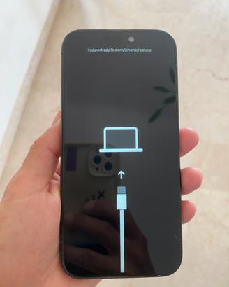 IPhone 15 Pro (leggere attentamente descrizione)