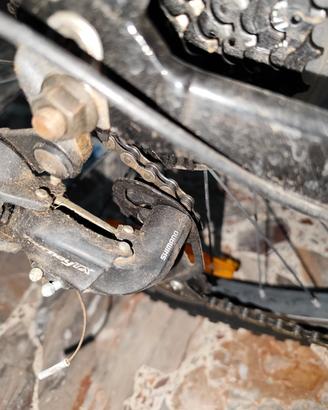 bici bambino
