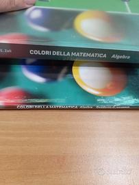 colori della matematica 
