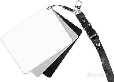 Scheda Grigia 18% Bilanciamento Bianco