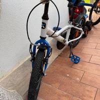 Bicicletta