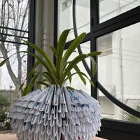 Vaso di Carta 3D