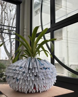 Vaso di Carta 3D