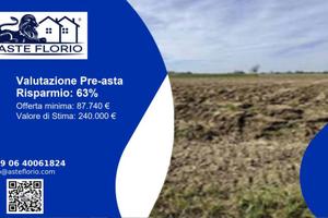Immobile in asta di 5923 m² a Nogara