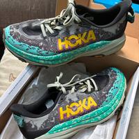 Hoka speedgoat 6