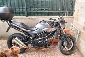 Suzuki SV 650 x ter - 2018