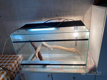 Terrario professionale 60cm + Luci e Arredo 🦎✨