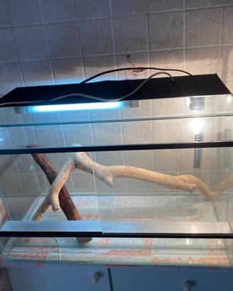 Terrario professionale 60cm + Luci e Arredo 🦎✨