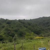 Terreno Agricolo produttivo 10000 m quadrati