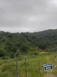 Terreno Agricolo produttivo 10000 m quadrati