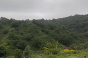 Terreno Agricolo produttivo 10000 m quadrati
